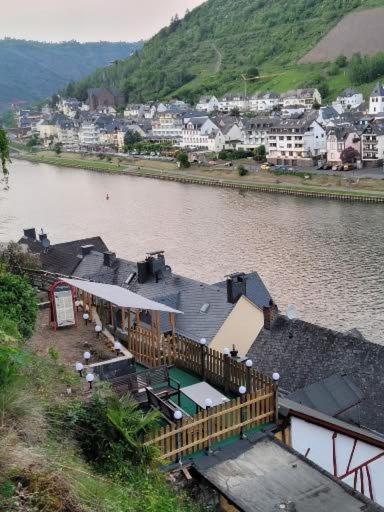 Larina Cochem